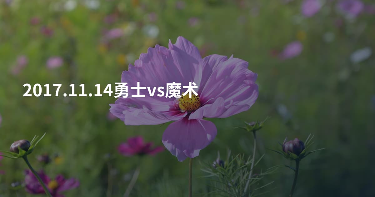 2017.11.14勇士vs魔术