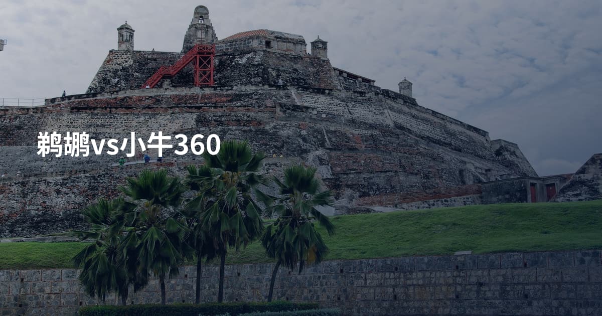 鹈鹕vs小牛360