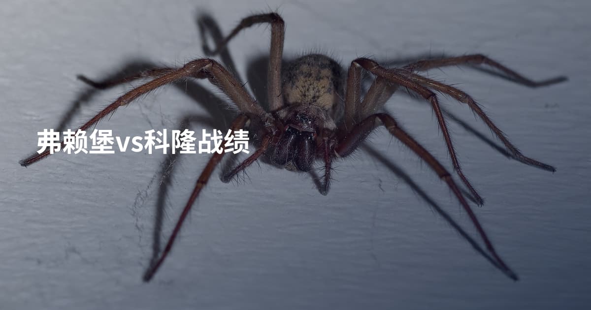弗赖堡vs科隆战绩