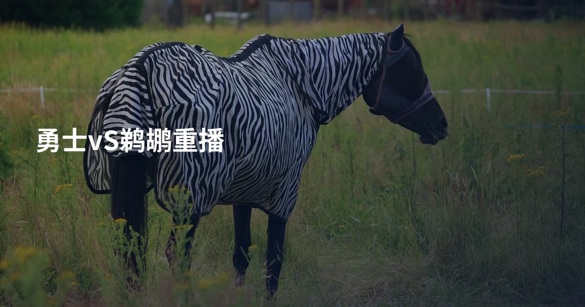勇士vS鹈鹕重播