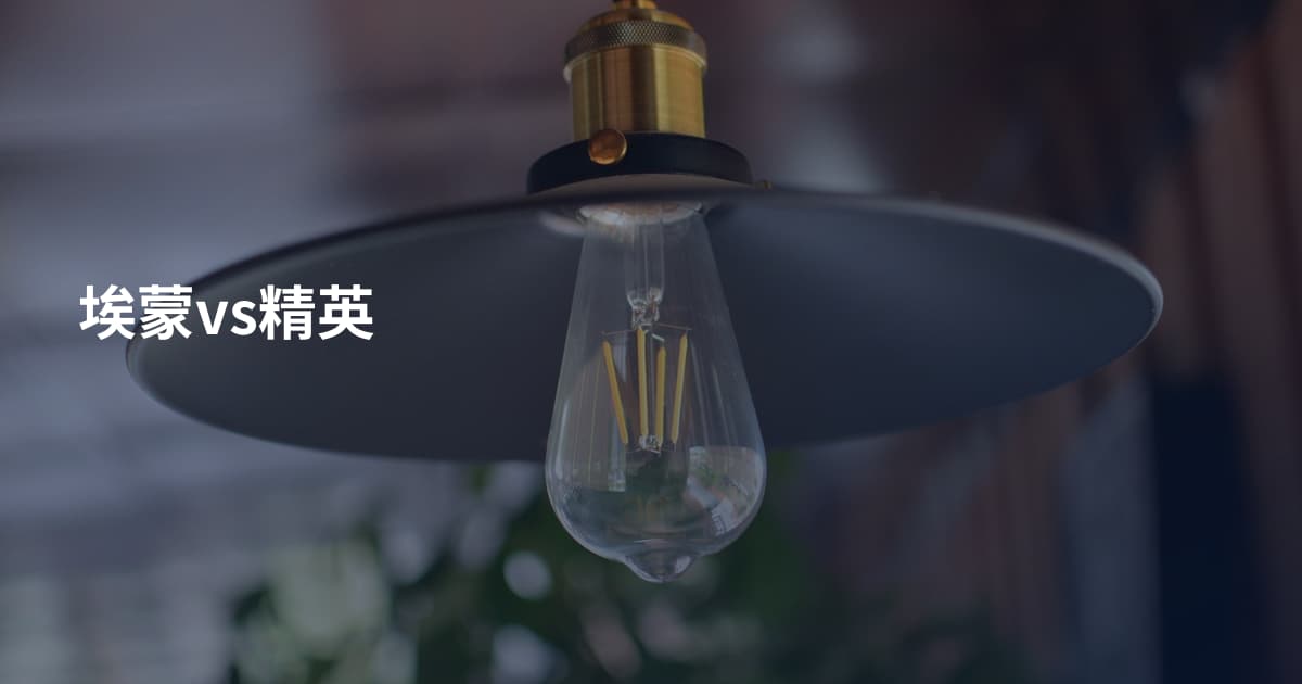 埃蒙vs精英