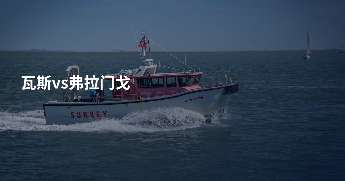 瓦斯vs弗拉门戈