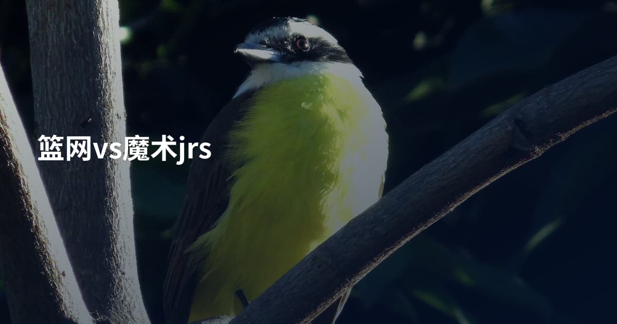 篮网vs魔术jrs