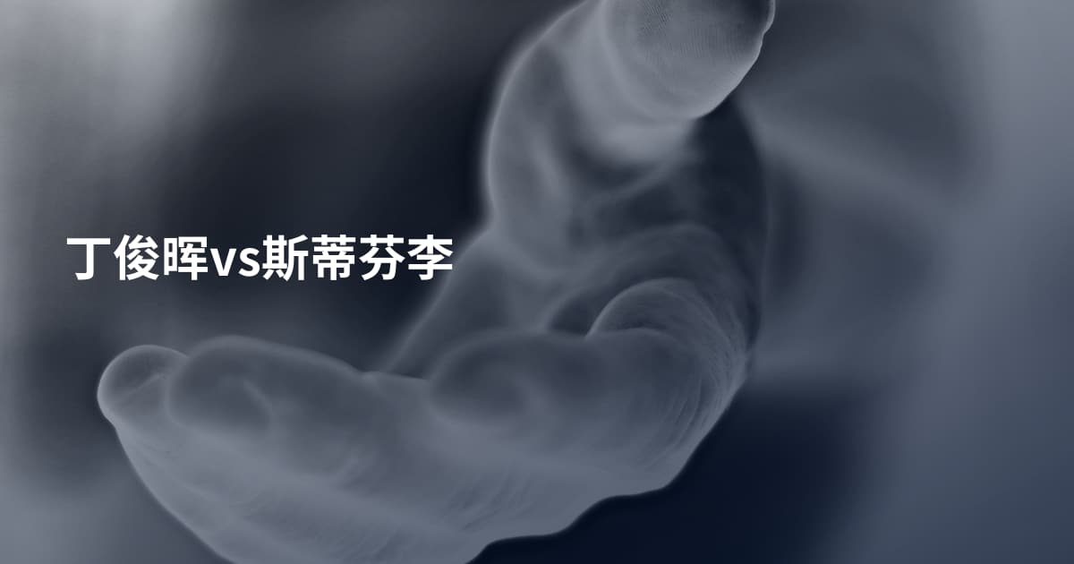 丁俊晖vs斯蒂芬李