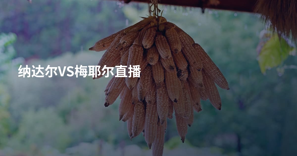 纳达尔VS梅耶尔直播