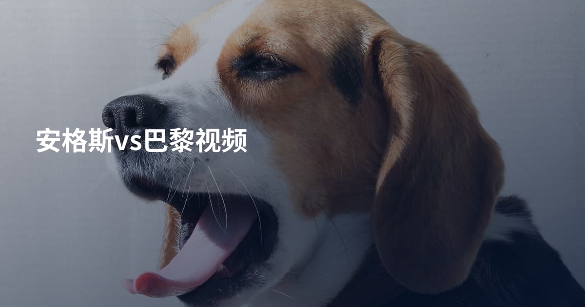 安格斯vs巴黎视频