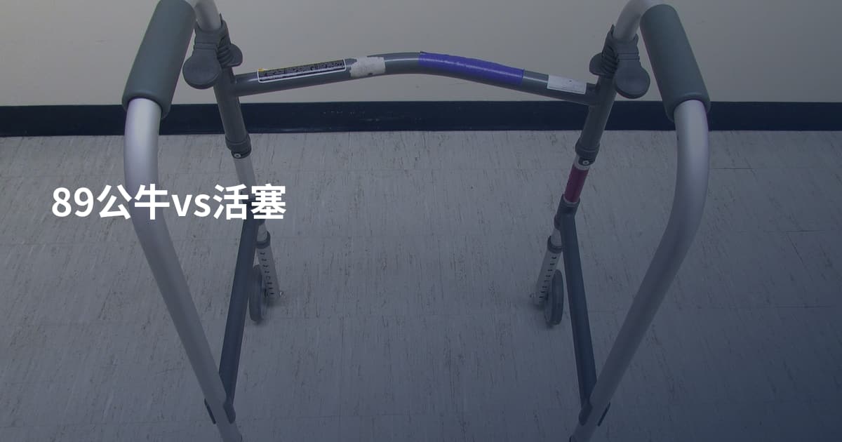 89公牛vs活塞