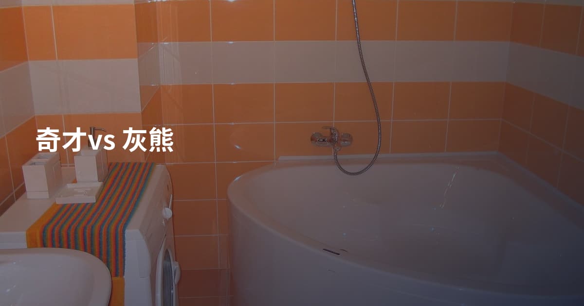 奇才vs 灰熊