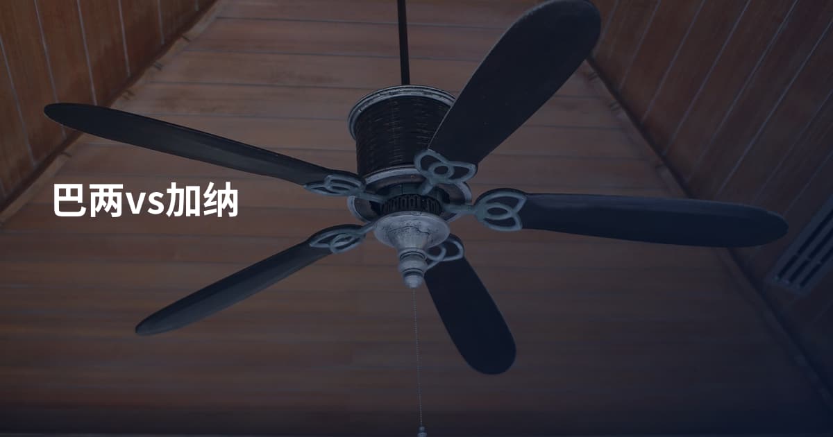 巴两vs加纳