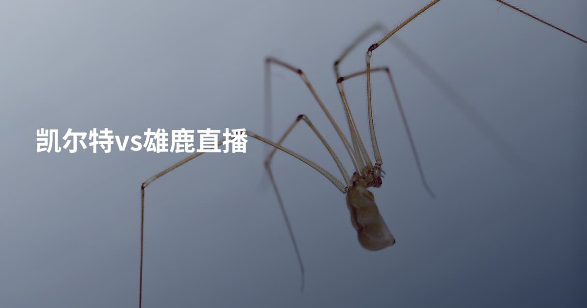 凯尔特vs雄鹿直播