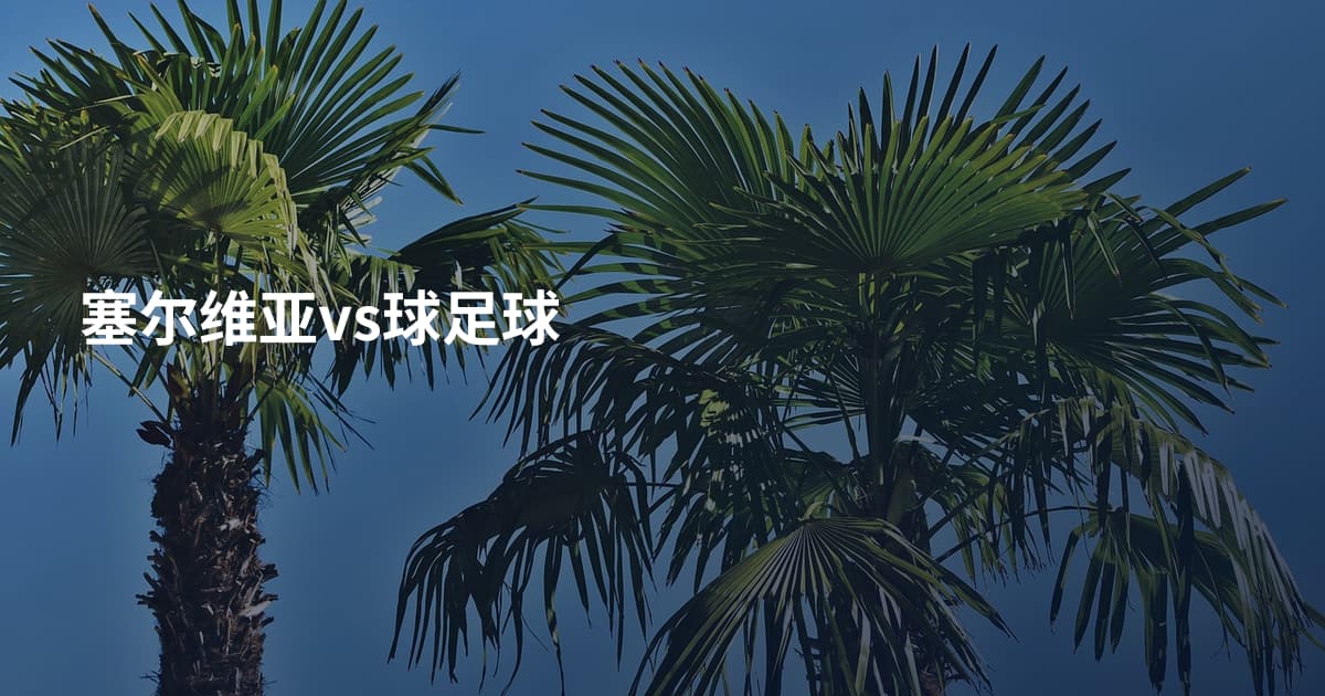 塞尔维亚vs球足球