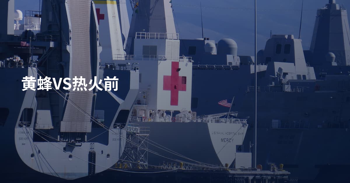 黄蜂VS热火前