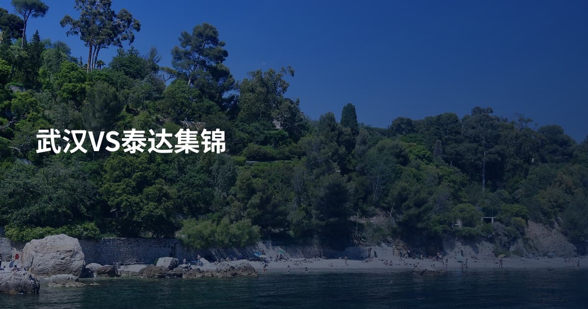 武汉VS泰达集锦