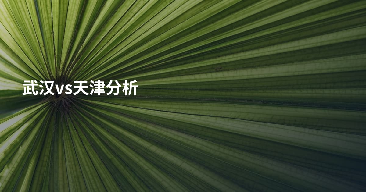 武汉vs天津分析