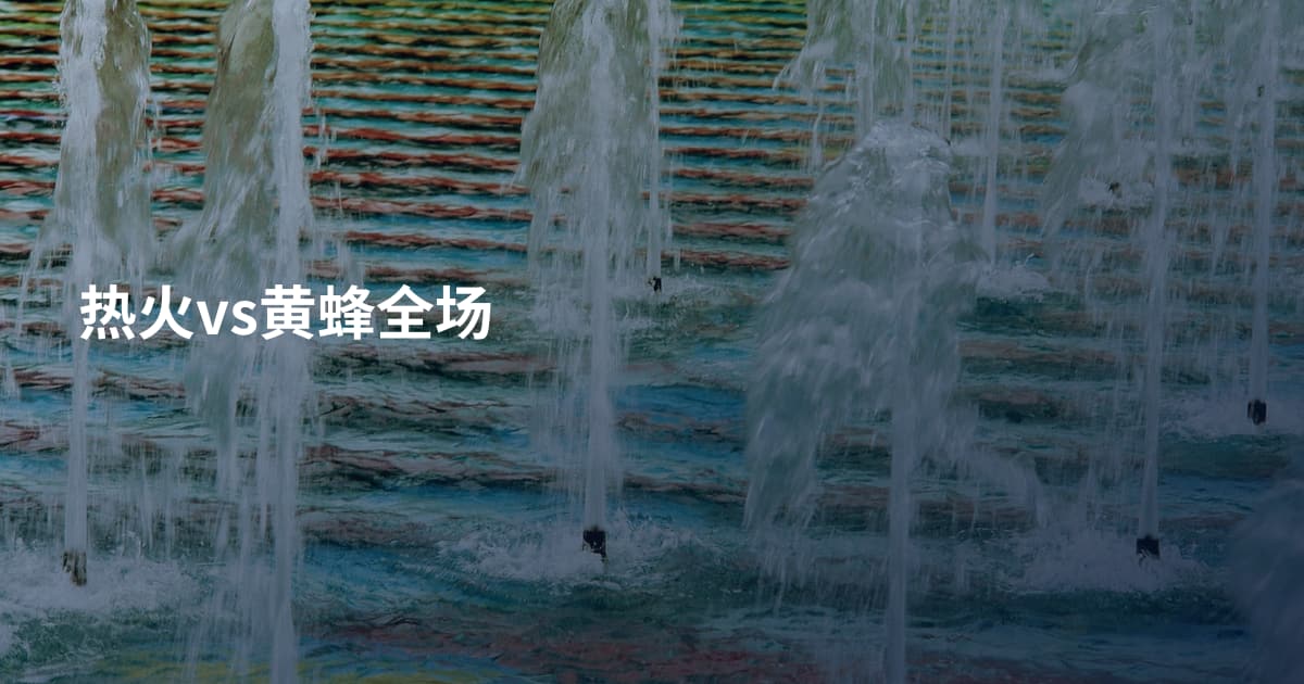 热火vs黄蜂全场