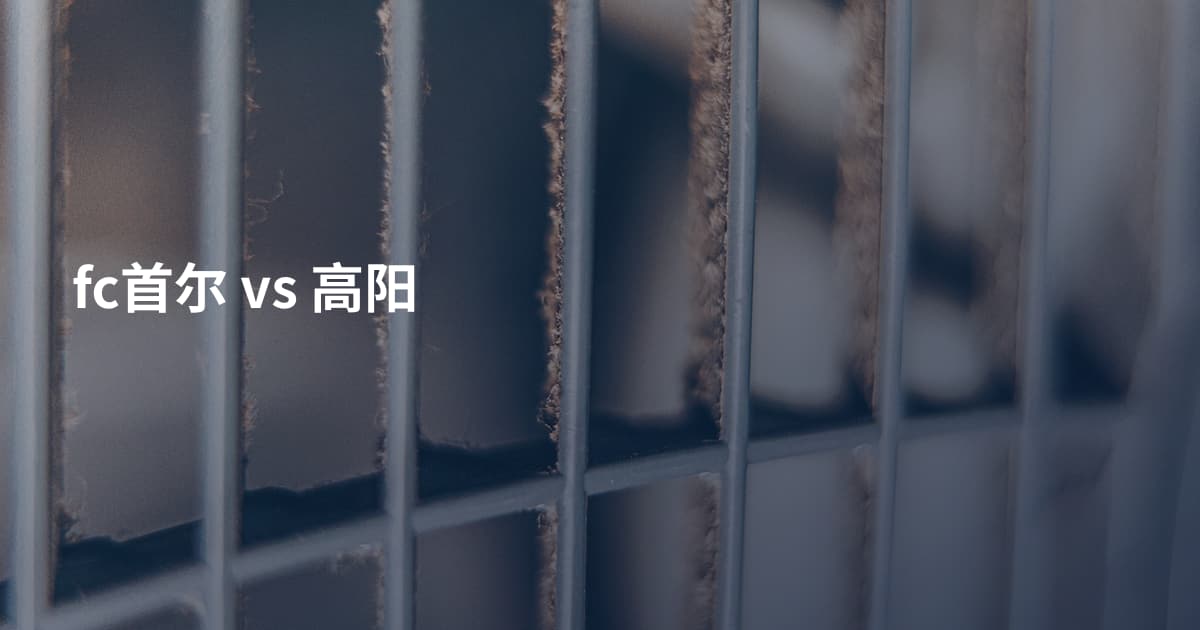 fc首尔 vs 高阳