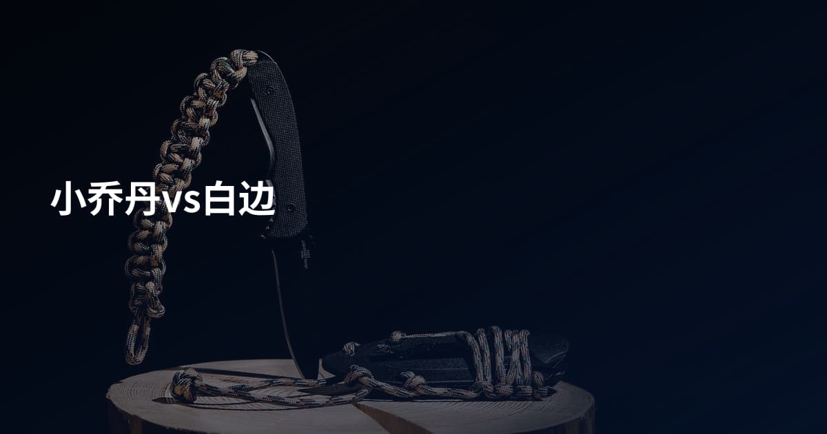 小乔丹vs白边