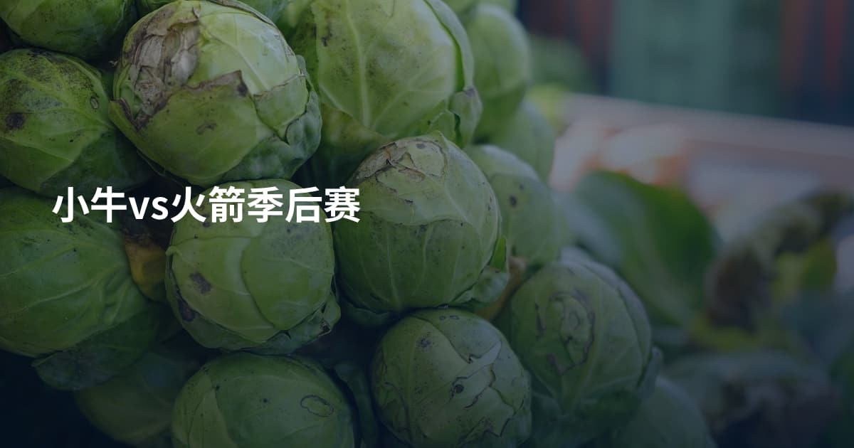 小牛vs火箭季后赛