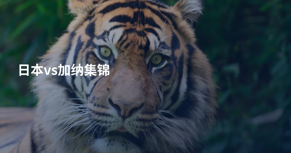 日本vs加纳集锦