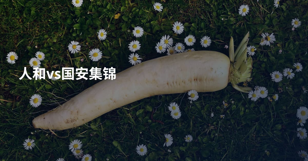 人和vs国安集锦