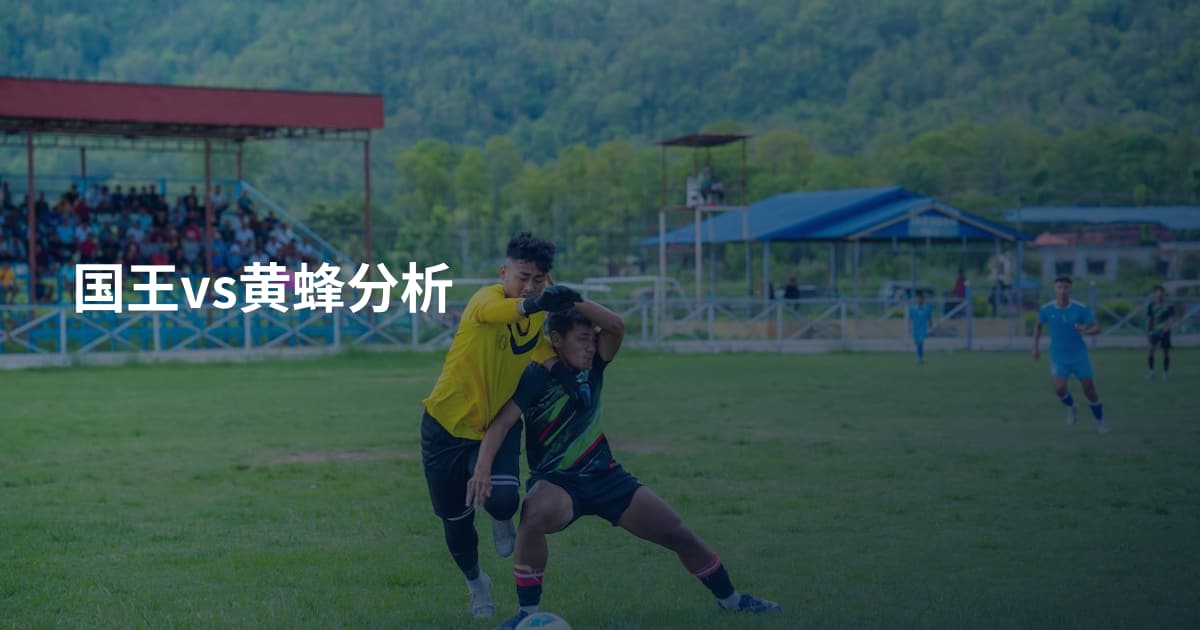 国王vs黄蜂分析