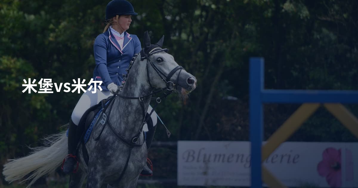 米堡vs米尔