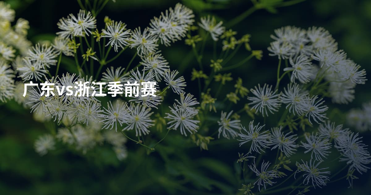 广东vs浙江季前赛