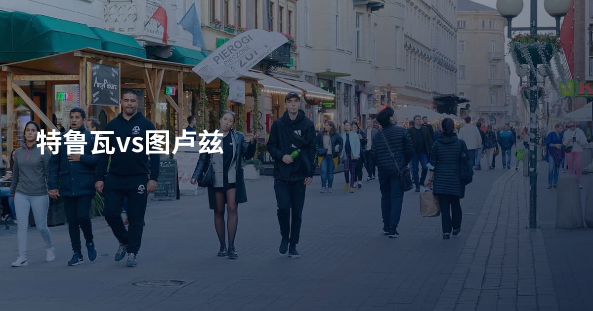 特鲁瓦vs图卢兹