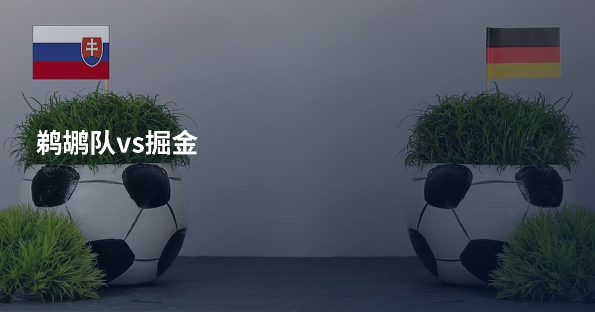 鹈鹕队vs掘金