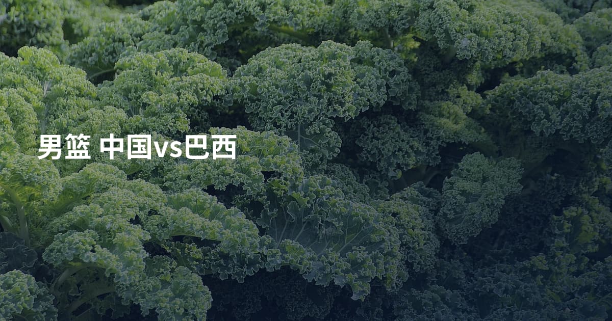 男篮 中国vs巴西