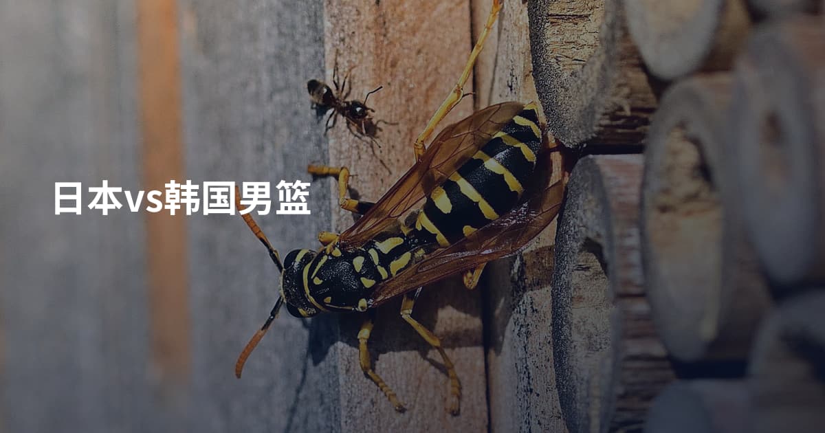 日本vs韩国男篮