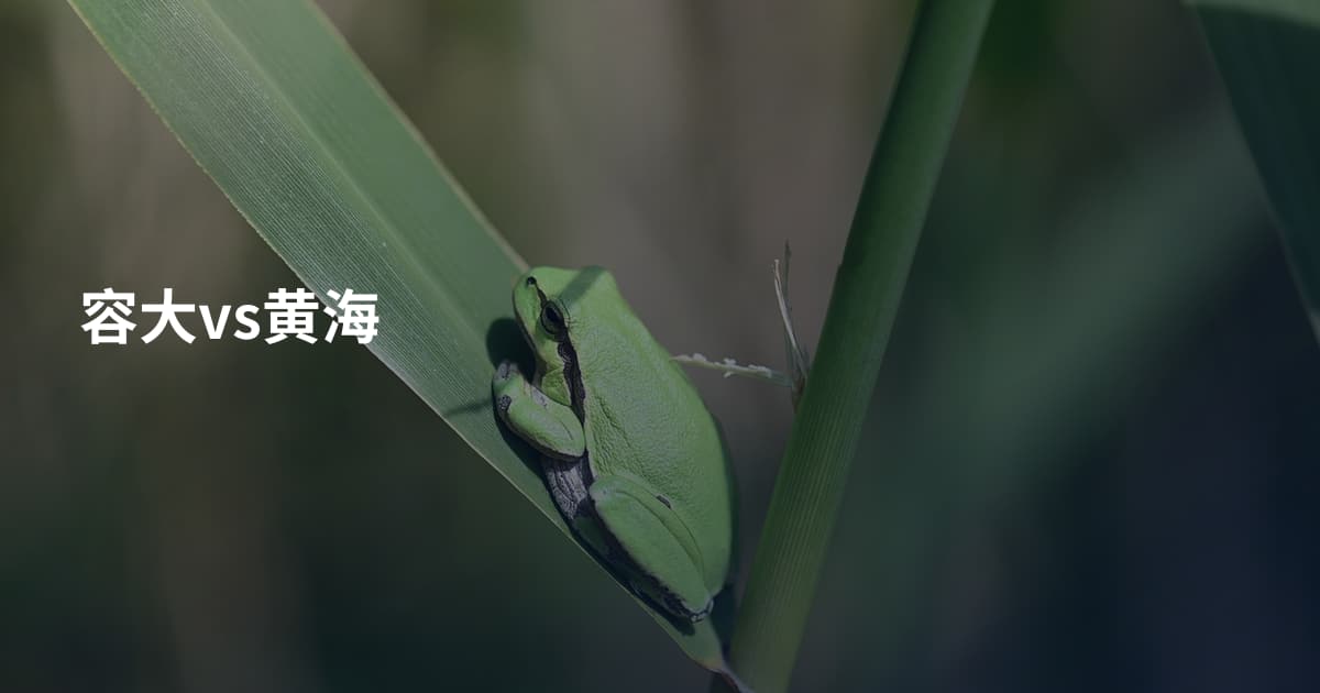容大vs黄海