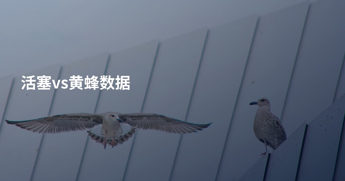 活塞vs黄蜂数据