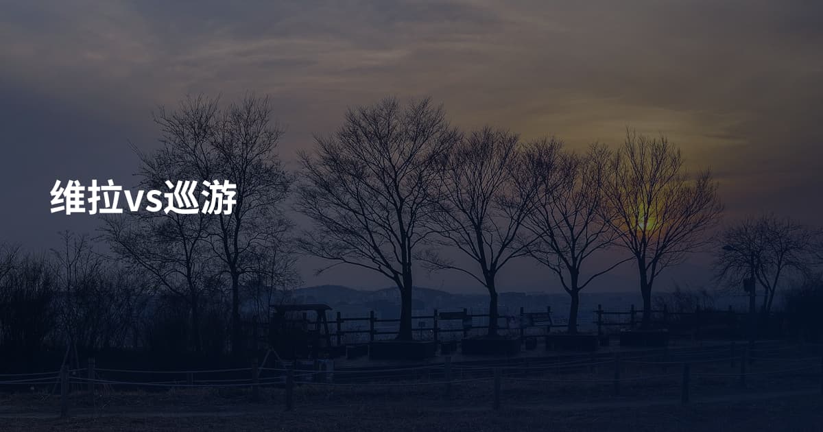 维拉vs巡游