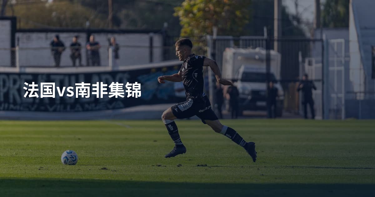 法国vs南非集锦
