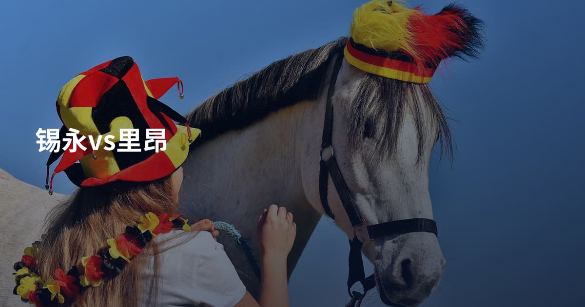 锡永vs里昂
