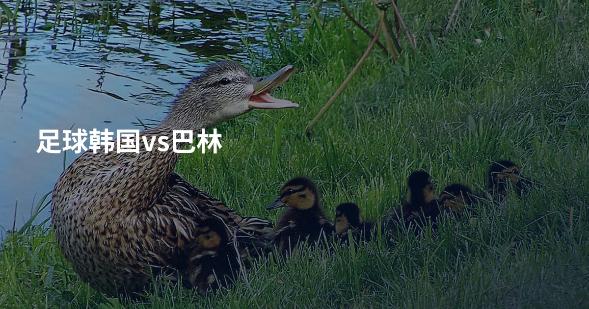 足球韩国vs巴林