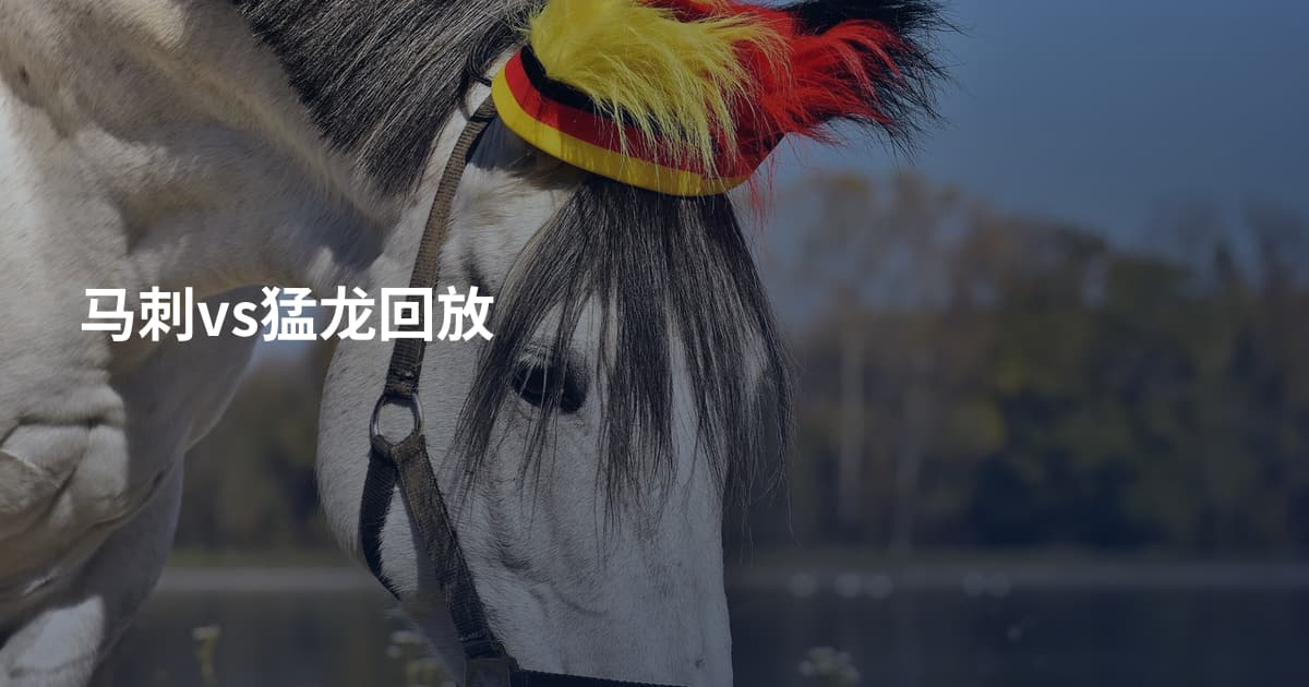 马刺vs猛龙回放