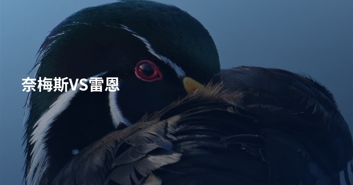 奈梅斯VS雷恩