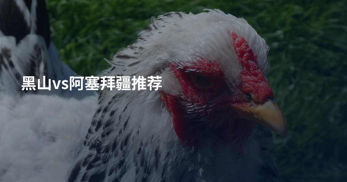 黑山vs阿塞拜疆推荐