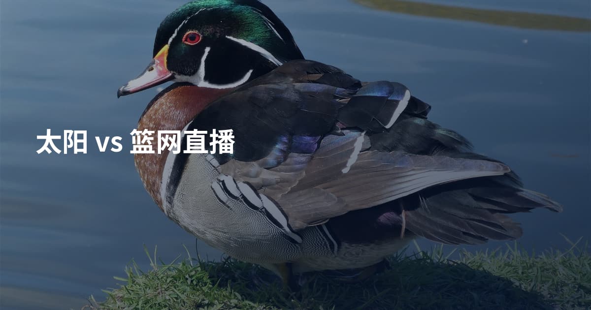 太阳 vs 篮网直播