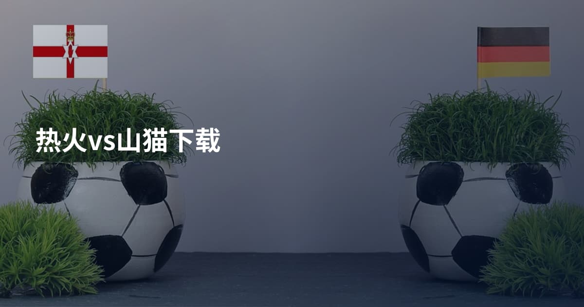 热火vs山猫下载