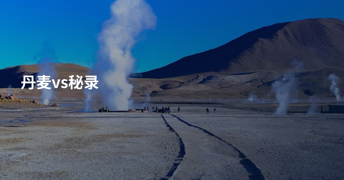 丹麦vs秘录