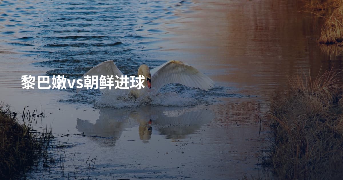 黎巴嫩vs朝鲜进球