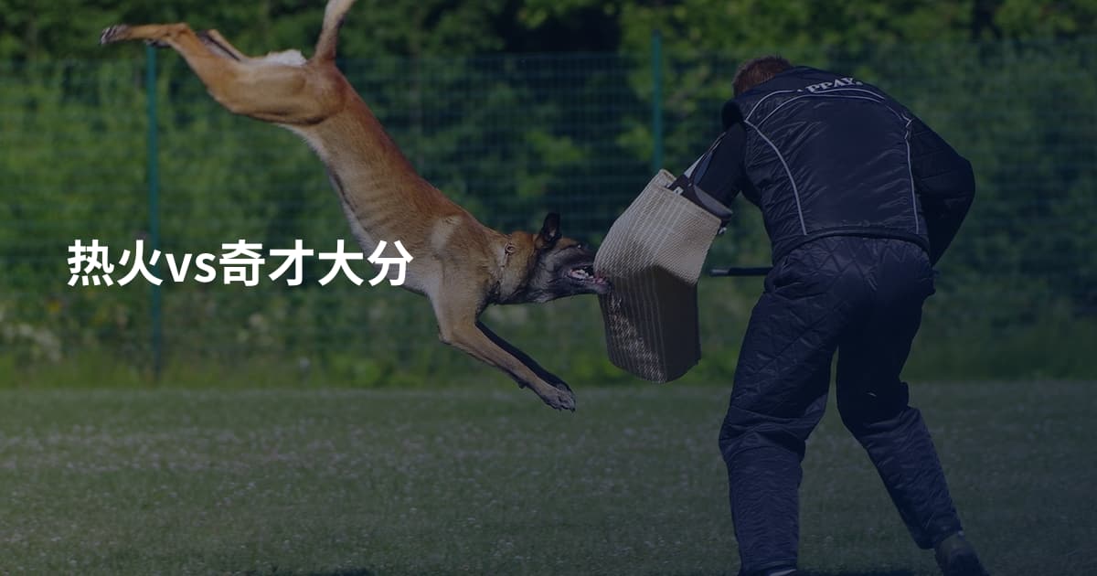 热火vs奇才大分