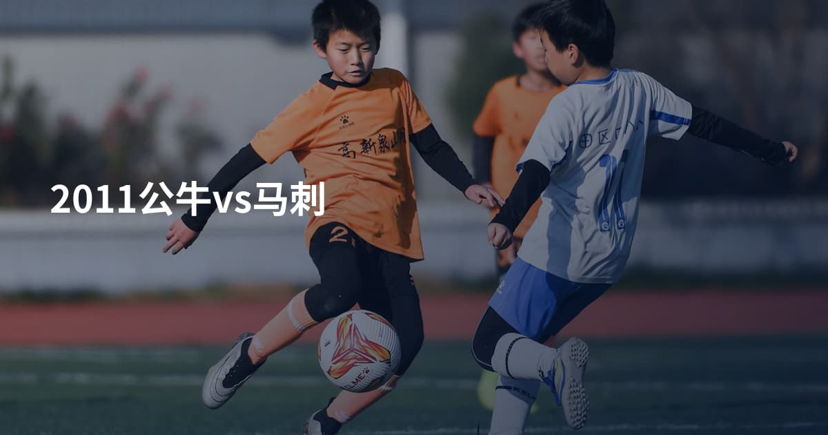 2011公牛vs马刺