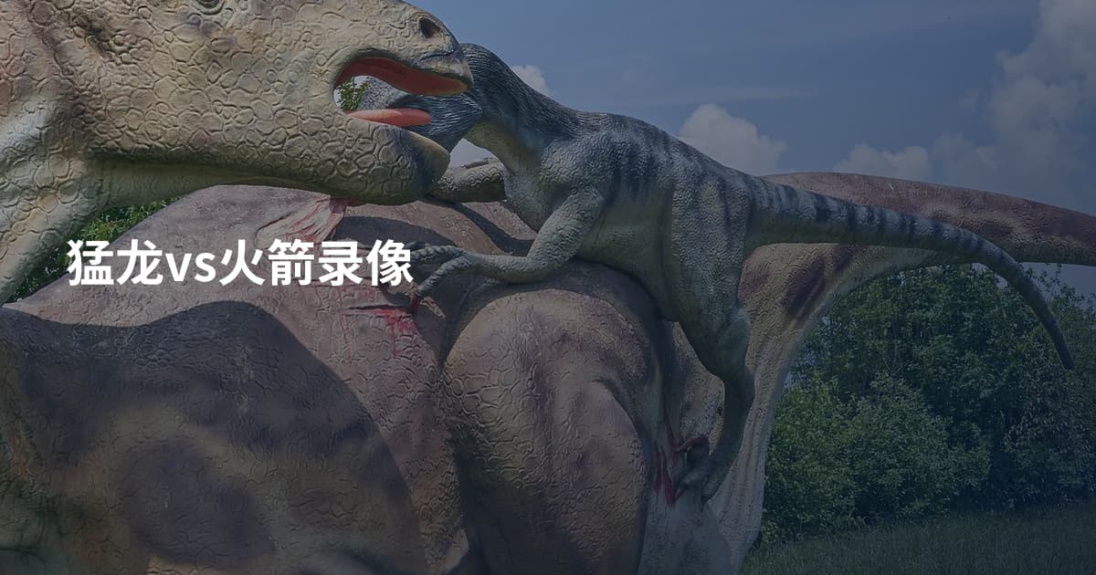 猛龙vs火箭录像