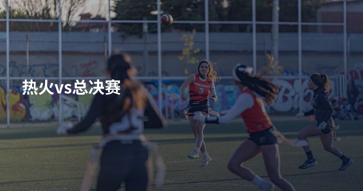 热火vs总决赛