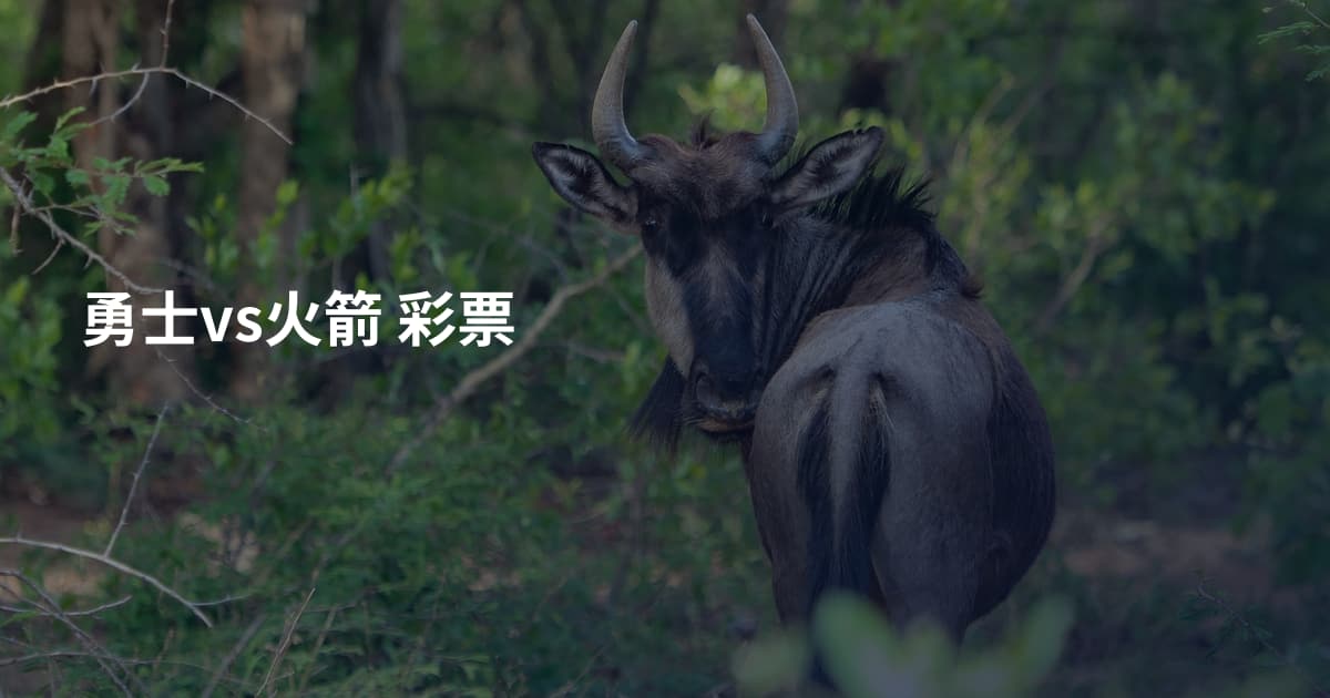 勇士vs火箭 彩票