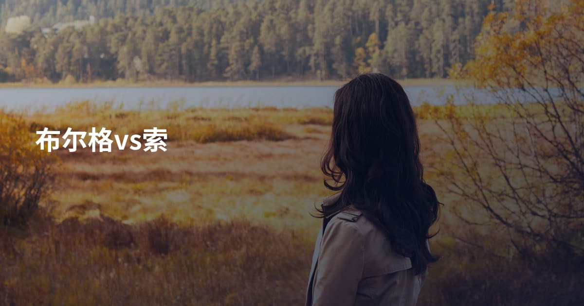 布尔格vs索